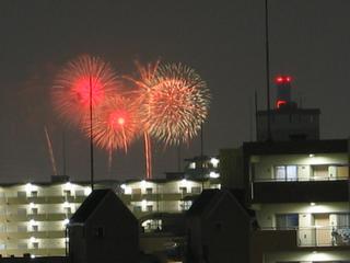 デジタルズーム目いっぱい